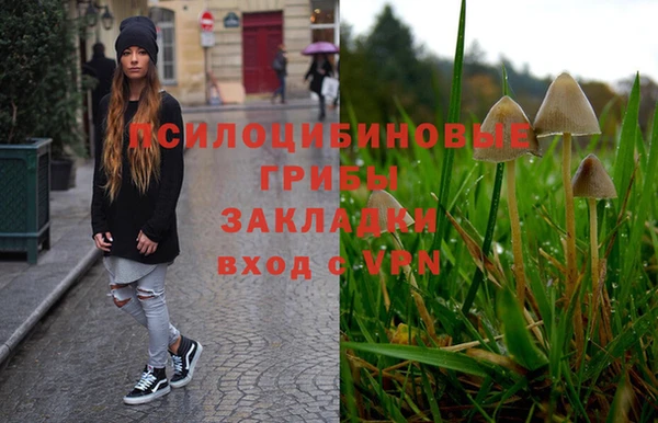 дурь Белоозёрский
