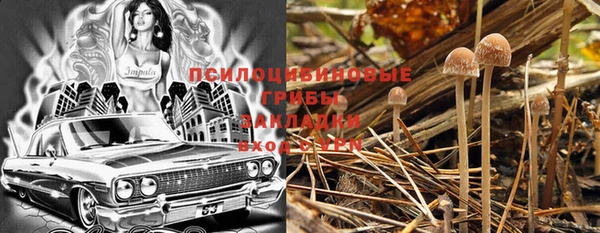 дурь Белоозёрский