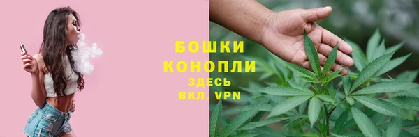 марки lsd Белокуриха