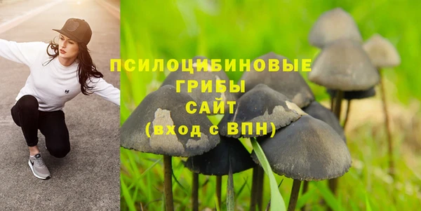 дурь Белоозёрский