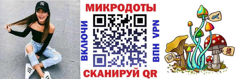 Псилоцибиновые грибы Magic Shrooms  KRAKEN tor  Городовиковск 