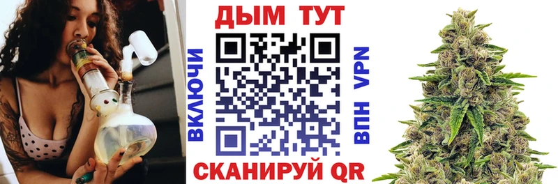 Конопля сатива  Городовиковск 